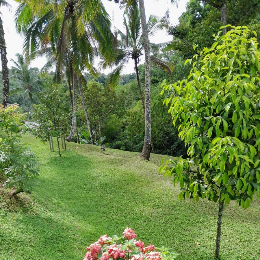 Hotel Sugita Wooden House Payangan Esterno foto